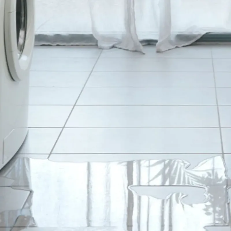 Appliance Leak Cleanup in Throop, PA