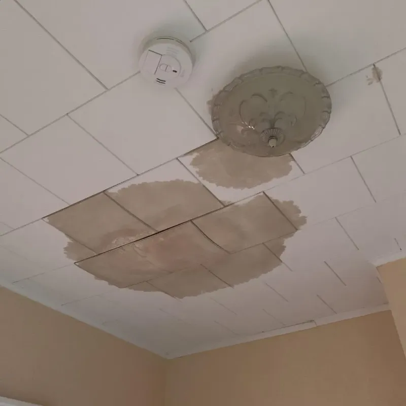 Ceiling Water Damage Repair in Throop, PA