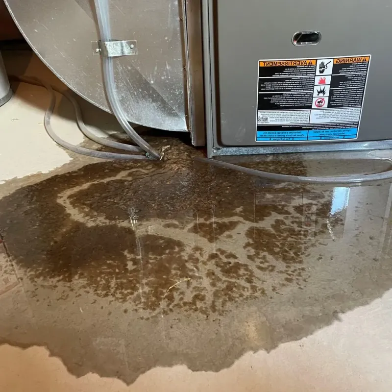 Pipe Burst and Leak Restoration in Throop, PA