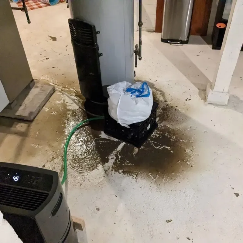 Sewage Backup Cleanup Service in Throop, PA